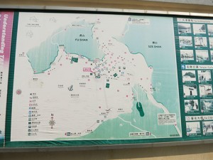 img_0203