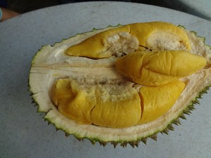 dsc00019 
