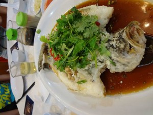 dsc00025 